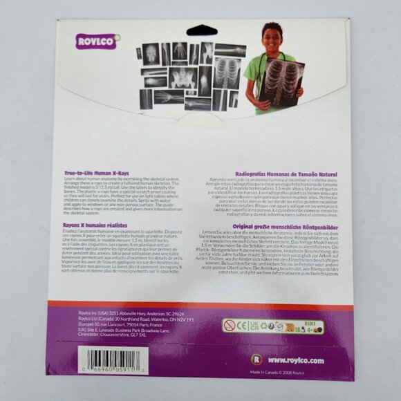 NEW Roylco True-to Life Human X-Rays - Age 4+ R5911 XRays Nancy Larson School Su - Picture 3 of 6